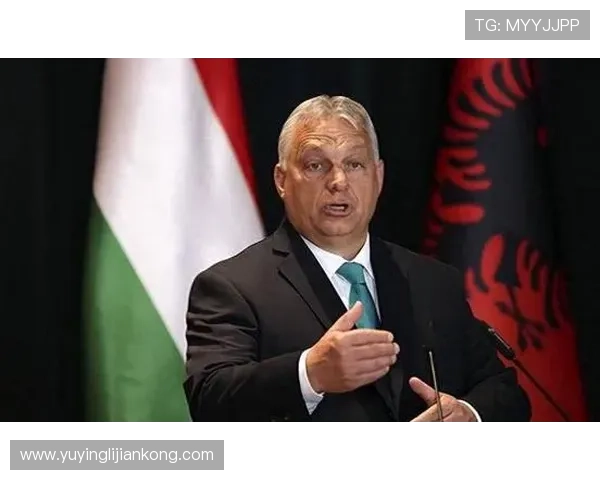 专访李丽：探寻她在篮球领域取得成功的秘诀与心路历程