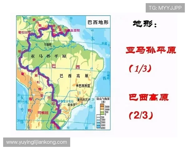 九号足球明星巴西的传奇之路与辉煌成就解析