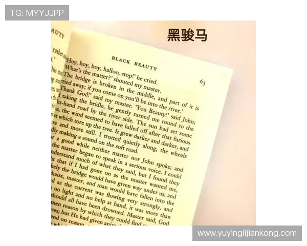 李姓足球明星的传奇故事与成就探秘